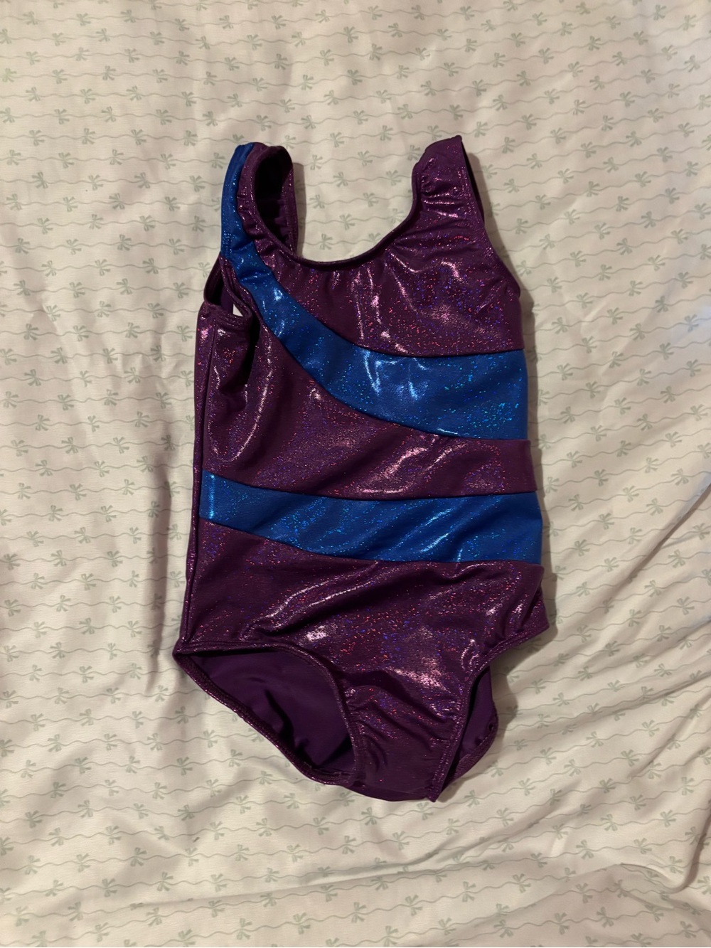 Girls Purple and Blue Shimmer Gymnastics and dance Leotard